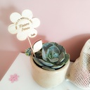 Pique pour plante